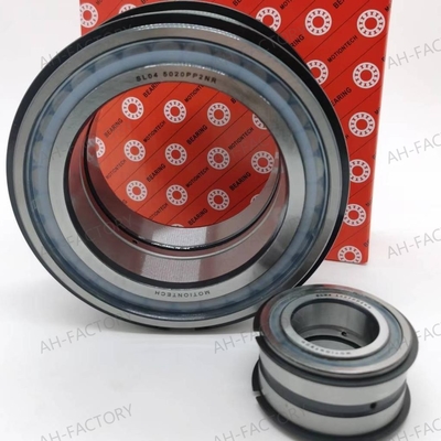 Rameau à rouleaux cylindriques à double rangée SL04-5020PPNR