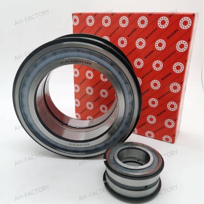 Rameau à rouleaux cylindriques à double rangée SL04-5020PPNR