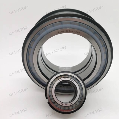 Rameau à rouleaux cylindriques à double rangée SL04-5020PPNR
