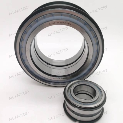 Rameau à rouleaux cylindriques à double rangée SL04-5020PPNR