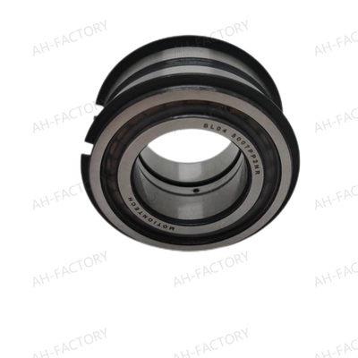 Rameau à rouleaux cylindriques à double rangée SL04-5020PPNR