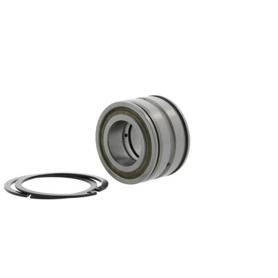 SL04-5005-PP-2NR roulement à rouleaux cylindriques à double rangée avec des performances de 25*47*30