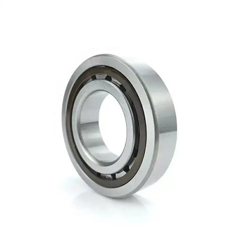Acier chrome Gcr15 NCF 3006 CV à roulement à rouleaux cylindriques en rangée unique